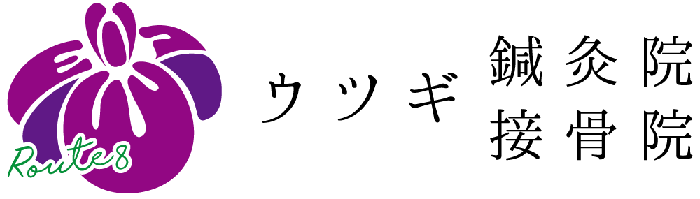 Route8(ウツギ鍼灸院・接骨院)